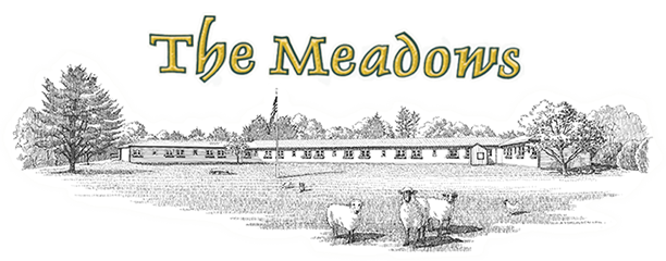 the meadows, senior living center